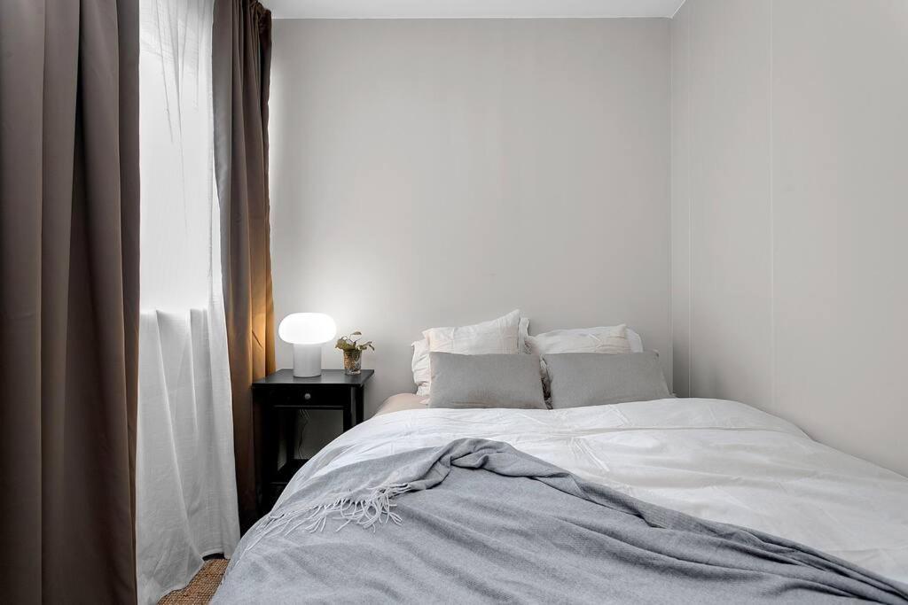 Cheerful 3br Down Town Newly Renovated Appartement Reykjavik