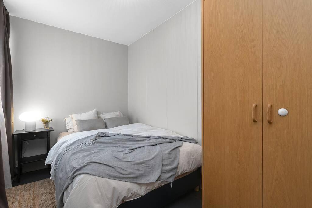 Cheerful 3br Down Town Newly Renovated Appartement Reykjavik
